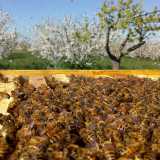 Per fortuna in Puglia il clima mediterraneo temperato favorisce questo tipo di attivit� un po� ovunque